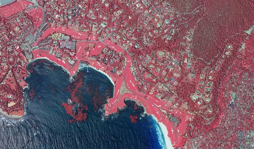 CIR aerial imagery captured in Pebble Beach, California
